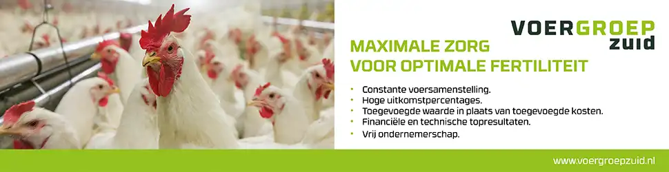 Banner vleeskuikenouderdieren voergroep zuid