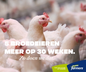 BRAVO ForFarmres 300x250