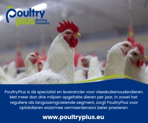 BRAVO PoultryPlus 300x250